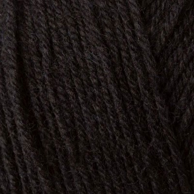 Regia 4 Ply 100g										 - 02066 Schwarz