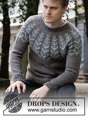 Inner Circle Pullover