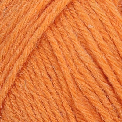 Regia 4 Ply 100g										 - 01054 Kurbis