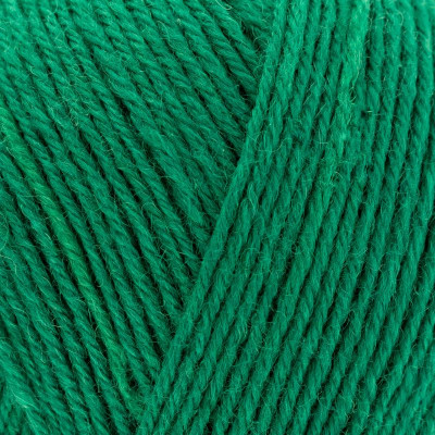 West Yorkshire Spinners Signature 4 Ply										 - 1006 Spruce