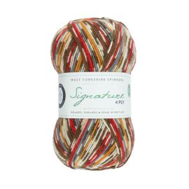 West Yorkshire Spinners Signature 4 Ply