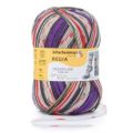 Regia Design Line by Arne & Carlos 4 Ply Color 100g