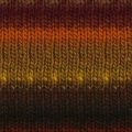 Noro Kureyon