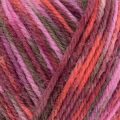 West Yorkshire Spinners Colour Lab DK 1030 Botanical Bloom