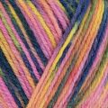 West Yorkshire Spinners Colour Lab DK 1031 Woodland Awakening