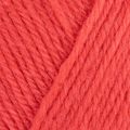 West Yorkshire Spinners Colour Lab DK 361 Coral Crush