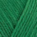 West Yorkshire Spinners Colour Lab DK 363 Bottle Green