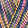 West Yorkshire Spinners Signature 4 Ply 1025 Woodland Awakening