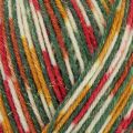 West Yorkshire Spinners Signature 4 Ply 1208 Yuletide Sparkle